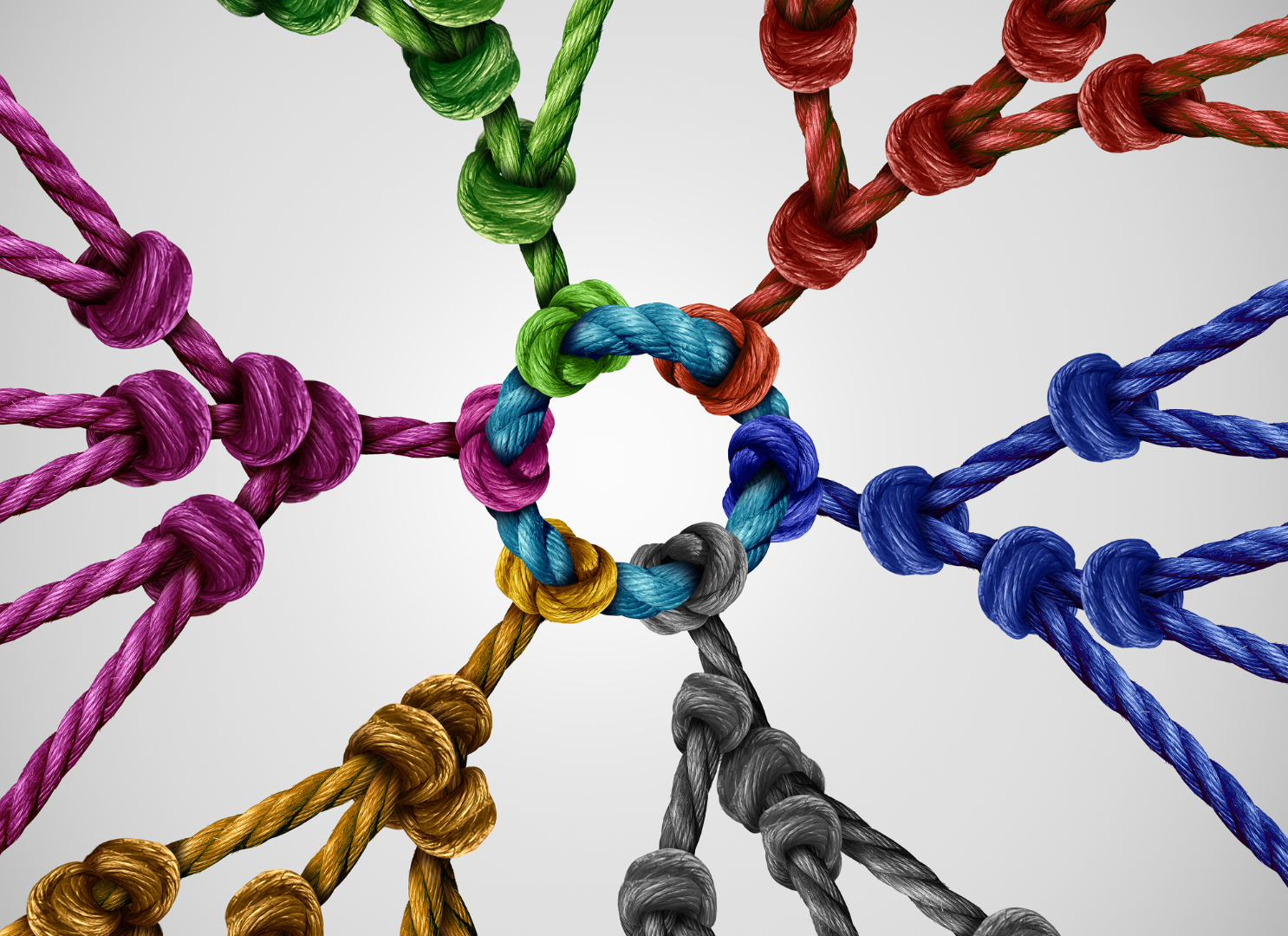 Impact GDP Website Elements (5)